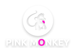 pinkmonkeycorporateevents.com